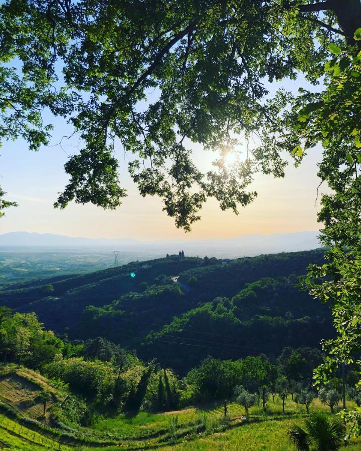 Villa Del Parco In Tuscany San Baronto Luaran gambar